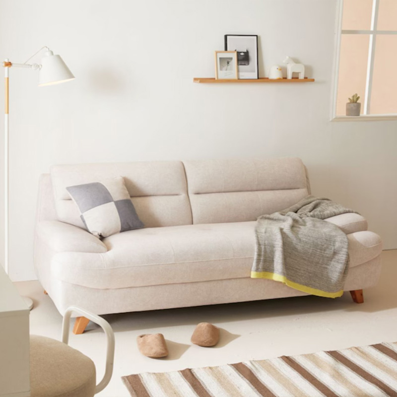 2 Seater Modern Minimalist Sofa